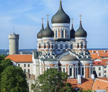 WhatsApp Image 2025-09-24 at 18.50.42